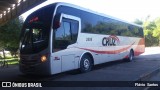Cruz Viagens e Turismo 2808 na cidade de Cruz das Almas, Bahia, Brasil, por Flávio  Santos. Número da foto: #6427502.