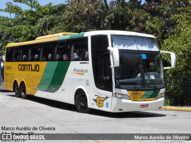 Empresa Gontijo de Transportes 12905 na cidade de São Paulo, São Paulo, Brasil, por Marco Aurélio de Oliveira. ID da foto: 6430537.