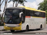 Transbrasiliana Transportes e Turismo 51229 na cidade de Teresina, Piauí, Brasil, por Gilberto  Sousa Nunes. ID da foto: :id.