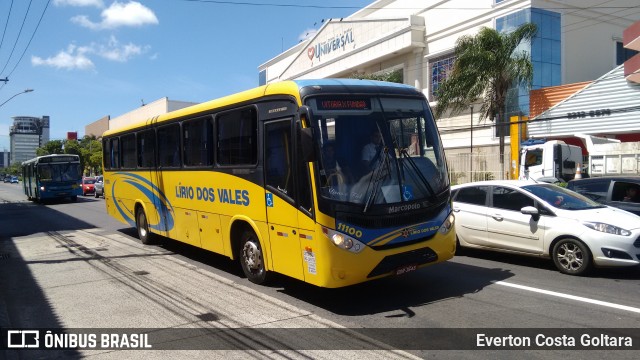 Viação Lírio dos Vales 11100 na cidade de Vitória, Espírito Santo, Brasil, por Everton Costa Goltara. Número da foto: #6435297.