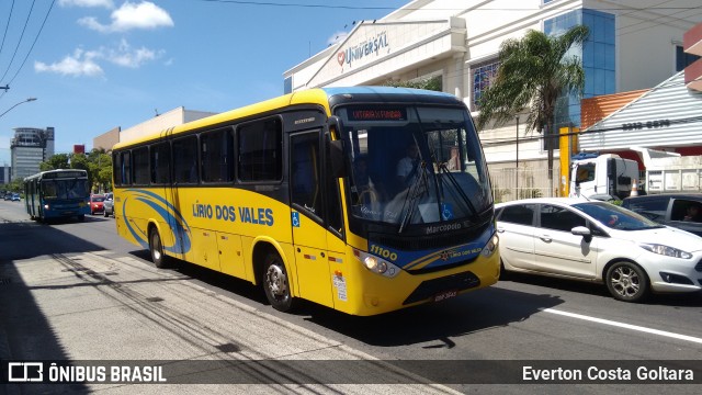 Viação Lírio dos Vales 11100 na cidade de Vitória, Espírito Santo, Brasil, por Everton Costa Goltara. ID da foto: 6435297.