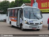 Realito ER 001 na cidade de Irituia, Pará, Brasil, por Gabriel dos Santos. Número da foto: #6435442.
