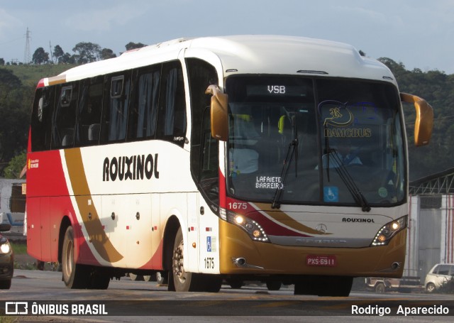 Rouxinol 1675 na cidade de Conselheiro Lafaiete, Minas Gerais, Brasil, por Rodrigo  Aparecido. Número da foto: #6439568.