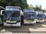 Empresa Gontijo de Transportes 11910 na cidade de Belo Horizonte, Minas Gerais, Brasil, por Luiz Otavio Matheus da Silva. Número da foto: #6439314.