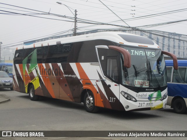 Buses Linatal 217 na cidade de Brasil, por Jeremias Alejandro Medina Ramirez. ID da foto: 6442337.