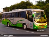 Turin Transportes 1499 na cidade de Belo Horizonte, Minas Gerais, Brasil, por Rodrigo Barraza. Número da foto: #6441787.