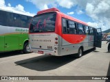 AN Transportes 1815 na cidade de Raul Soares, Minas Gerais, Brasil, por Rubens  Faria. Número da foto: #6440236.