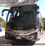 Musoc 181 na cidade de Brasil, por Luis Diego Sánchez. Número da foto: #:id.