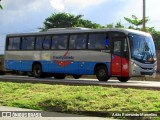 Transfigueiredo Transportes e Serviços 002 na cidade de Belo Horizonte, Minas Gerais, Brasil, por Adão Raimundo Marcelino. Número da foto: #6447048.