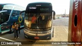 Viação Cidade Sol 8120 na cidade de Ipirá, Bahia, Brasil, por Mario dos Santos Nogueira Junior. Número da foto: #:id.