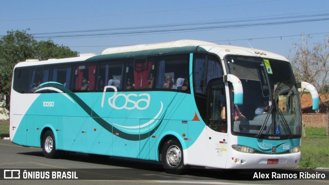 Rosa Turismo 10050 na cidade de Holambra, São Paulo, Brasil, por Alex Ramos Ribeiro. ID da foto: 6448659.