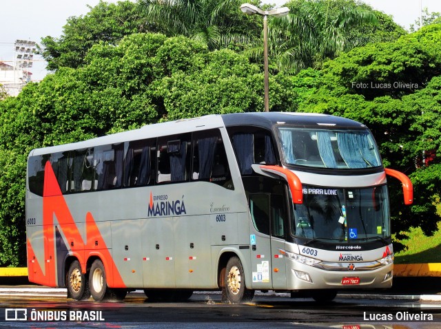 Expresso Maringá 6003 na cidade de Londrina, Paraná, Brasil, por Lucas Oliveira . ID da foto: 6402474.