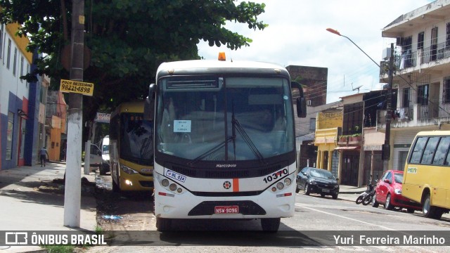 Princesa Morena 10370 na cidade de Belém, Pará, Brasil, por Yuri Ferreira Marinho. Número da foto: #6401515.