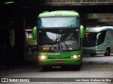 Pássaro Verde 27004 na cidade de Belo Horizonte, Minas Gerais, Brasil, por Luiz Otavio Matheus da Silva. Número da foto: #:id.