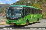 Pássaro Verde 15145 na cidade de Ouro Preto, Minas Gerais, Brasil, por Otávio Augusto Gomes Siqueira. Número da foto: #:id.