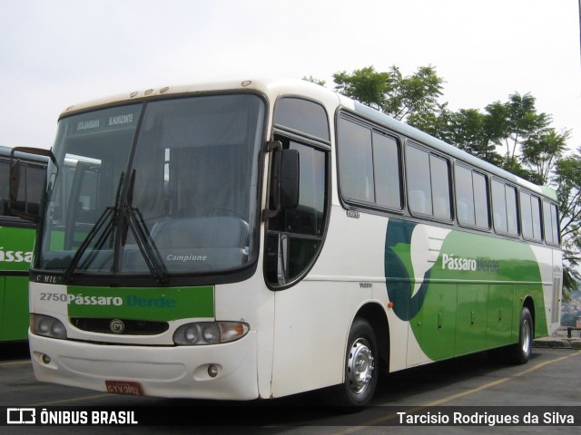 Pássaro Verde 2750 na cidade de Belo Horizonte, Minas Gerais, Brasil, por Tarcisio Rodrigues da Silva. ID da foto: 6456457.