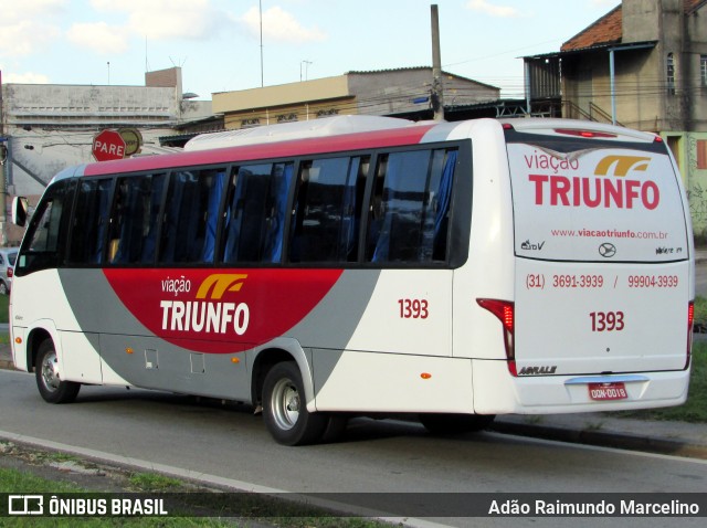 Viação Triunfo 1393 na cidade de Belo Horizonte, Minas Gerais, Brasil, por Adão Raimundo Marcelino. ID da foto: 6456990.