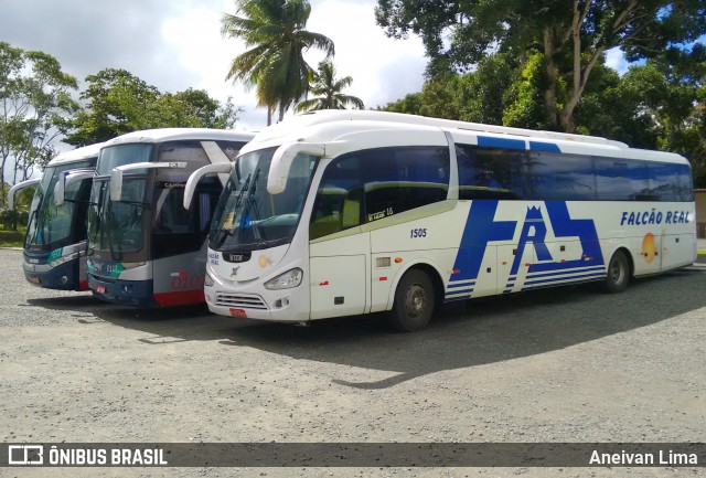 Falcão Real 1505 na cidade de Camaçari, Bahia, Brasil, por Aneivan Lima. Número da foto: #6456898.