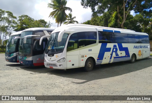 Falcão Real 1505 na cidade de Camaçari, Bahia, Brasil, por Aneivan Lima. ID da foto: 6456898.