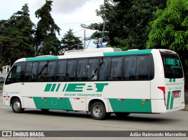 EBT - Expresso Biagini Transportes 8236 na cidade de Belo Horizonte, Minas Gerais, Brasil, por Adão Raimundo Marcelino. ID da foto: 6457067.