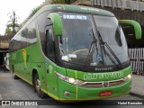 Pássaro Verde 15129 na cidade de Belo Horizonte, Minas Gerais, Brasil, por Hariel Bernades. Número da foto: #:id.