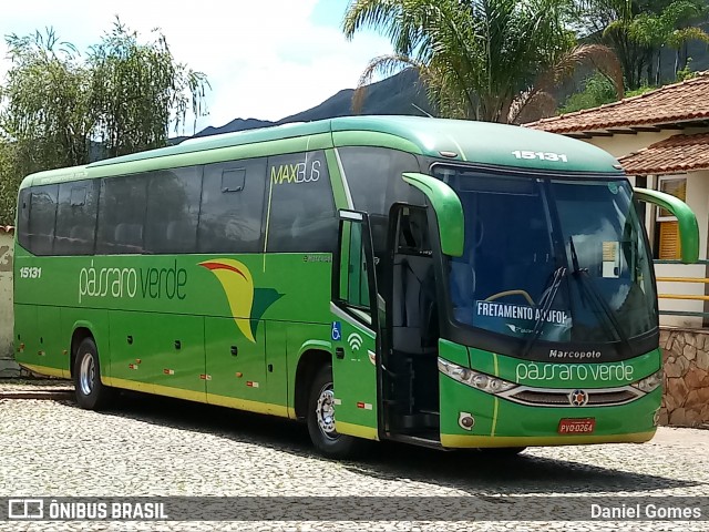Pássaro Verde 15131 na cidade de Ouro Preto, Minas Gerais, Brasil, por Daniel Gomes. Número da foto: #6462005.