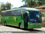 Pássaro Verde 15131 na cidade de Ouro Preto, Minas Gerais, Brasil, por Daniel Gomes. Número da foto: #6462005.