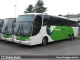 Pássaro Verde 3770 na cidade de Belo Horizonte, Minas Gerais, Brasil, por Tarcisio Rodrigues da Silva. Número da foto: #6460774.