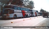 Expresso Maringá 4132 na cidade de Paranavaí, Paraná, Brasil, por Silvano Barboza da Silva. Número da foto: #6459971.