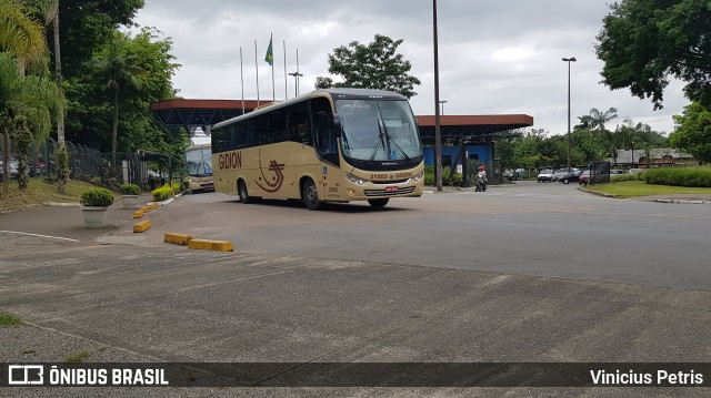 Gidion Transporte e Turismo 21503 na cidade de Joinville, Santa Catarina, Brasil, por Vinicius Petris. ID da foto: 6463292.