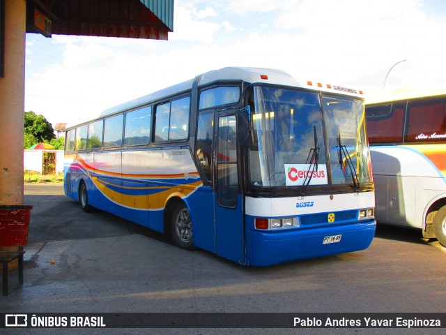 Ônibus Particulares PT1685 na cidade de San Fernando, Colchagua, Libertador General Bernardo O'Higgins, Chile, por Pablo Andres Yavar Espinoza. ID da foto: 6465385.