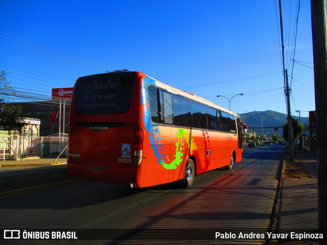 Jupabus 01 na cidade de Santa Cruz, Colchagua, Libertador General Bernardo O'Higgins, Chile, por Pablo Andres Yavar Espinoza. Número da foto: #6465430.