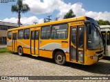 Transportes Coletivos Nossa Senhora da Piedade 428 na cidade de Campo Largo, Paraná, Brasil, por Herik Ferreira da Silva. Número da foto: #6465161.