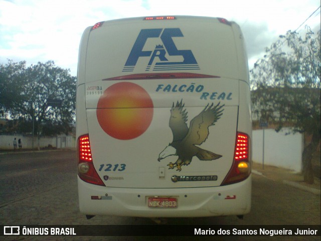 Falcão Real 1213 na cidade de Piritiba, Bahia, Brasil, por Mario dos Santos Nogueira Junior. Número da foto: #6406105.