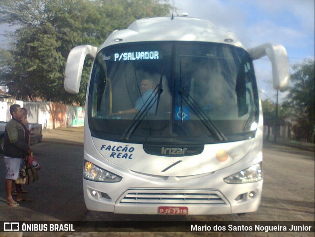 Falcão Real 1505 na cidade de Piritiba, Bahia, Brasil, por Mario dos Santos Nogueira Junior. ID da foto: 6406026.