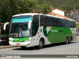 Pássaro Verde 27003 na cidade de Ouro Preto, Minas Gerais, Brasil, por Daniel Gomes. Número da foto: #6405081.