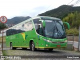 Pássaro Verde 15135 na cidade de Ouro Preto, Minas Gerais, Brasil, por Daniel Gomes. Número da foto: #6405110.