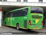 Pássaro Verde 15128 na cidade de Ouro Preto, Minas Gerais, Brasil, por Daniel Gomes. Número da foto: #6405085.