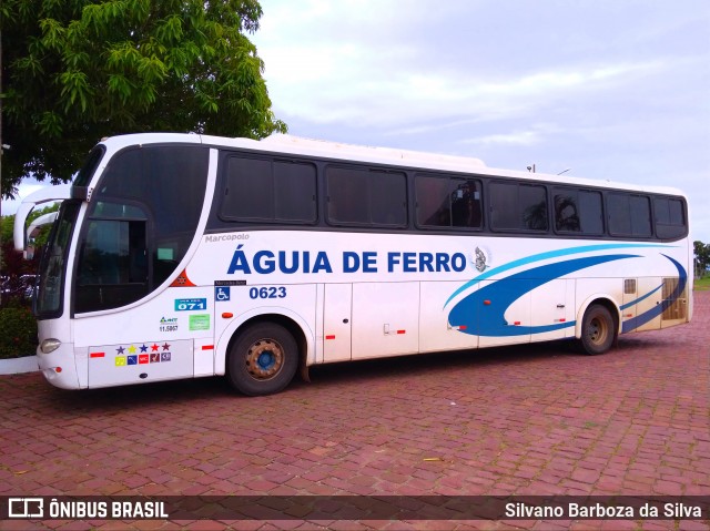 Águia de Ferro 0623 na cidade de Cuiabá, Mato Grosso, Brasil, por Silvano Barboza da Silva. Número da foto: #6471645.