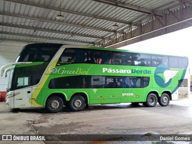 Pássaro Verde 12120 na cidade de Ouro Preto, Minas Gerais, Brasil, por Daniel Gomes. Número da foto: #6475993.
