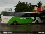Pássaro Verde 29014 na cidade de Ouro Preto, Minas Gerais, Brasil, por Daniel Gomes. Número da foto: #6475999.