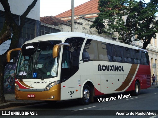 Rouxinol 1685 na cidade de Belo Horizonte, Minas Gerais, Brasil, por Vicente de Paulo Alves. Número da foto: #6408338.