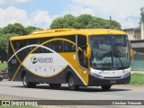Viação Progresso 32315 na cidade de Muriaé, Minas Gerais, Brasil, por Christian  Fortunato. Número da foto: #6408290.