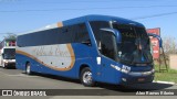 Bia Turismo > Aellos de Ouro 8219 na cidade de Holambra, São Paulo, Brasil, por Alex Ramos Ribeiro. Número da foto: #6411477.