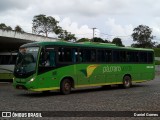 Pássaro Verde 15145 na cidade de Ouro Preto, Minas Gerais, Brasil, por Daniel Gomes. Número da foto: #:id.