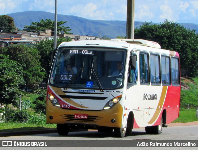 Rouxinol 1610 na cidade de Belo Horizonte, Minas Gerais, Brasil, por Adão Raimundo Marcelino. Número da foto: #6418013.