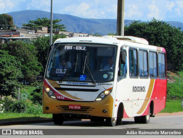 Rouxinol 1610 na cidade de Belo Horizonte, Minas Gerais, Brasil, por Adão Raimundo Marcelino. ID da foto: 6418013.