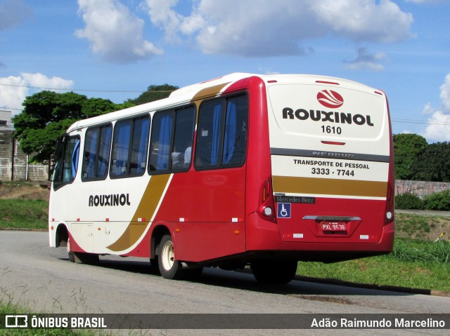 Rouxinol 1610 na cidade de Belo Horizonte, Minas Gerais, Brasil, por Adão Raimundo Marcelino. ID da foto: 6418044.