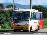 Rouxinol 1610 na cidade de Belo Horizonte, Minas Gerais, Brasil, por Adão Raimundo Marcelino. Número da foto: #6418013.