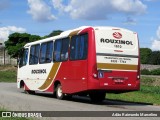 Rouxinol 1610 na cidade de Belo Horizonte, Minas Gerais, Brasil, por Adão Raimundo Marcelino. Número da foto: #6418044.